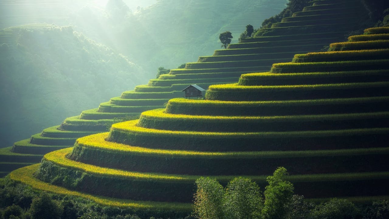 Las terrazas de arrozales en Bali.