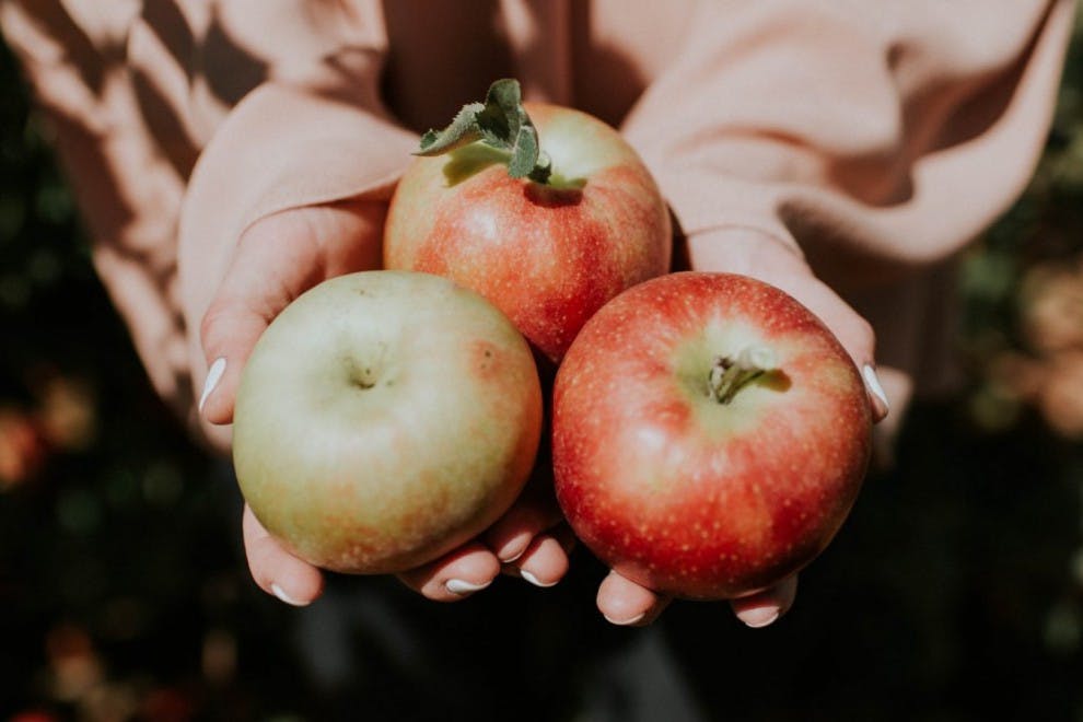 Las manzanas son frutas llenas de agua y nutrientes.