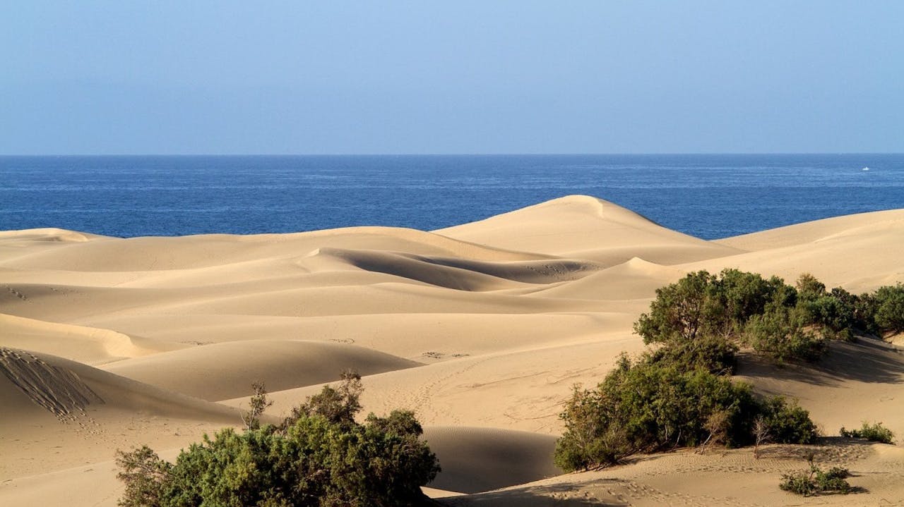 Las dunas inundan la Playa de Maspalomas, en Gran Canaria.