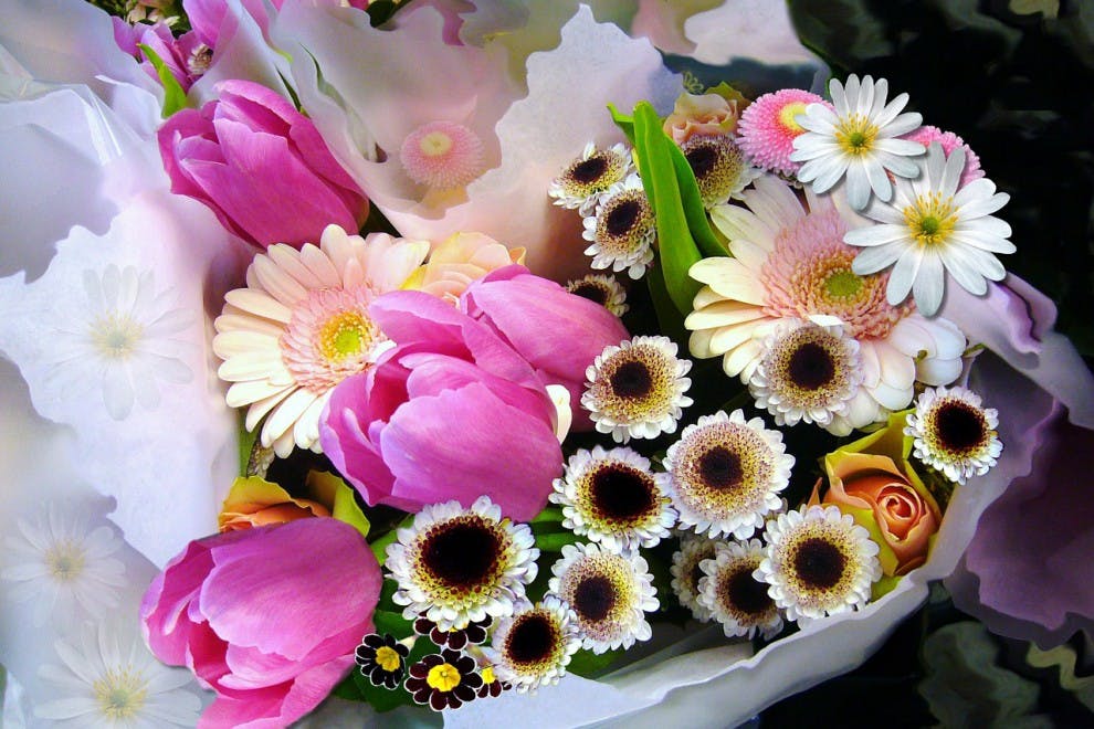 ¿Conoces el significado de estas 20 flores?