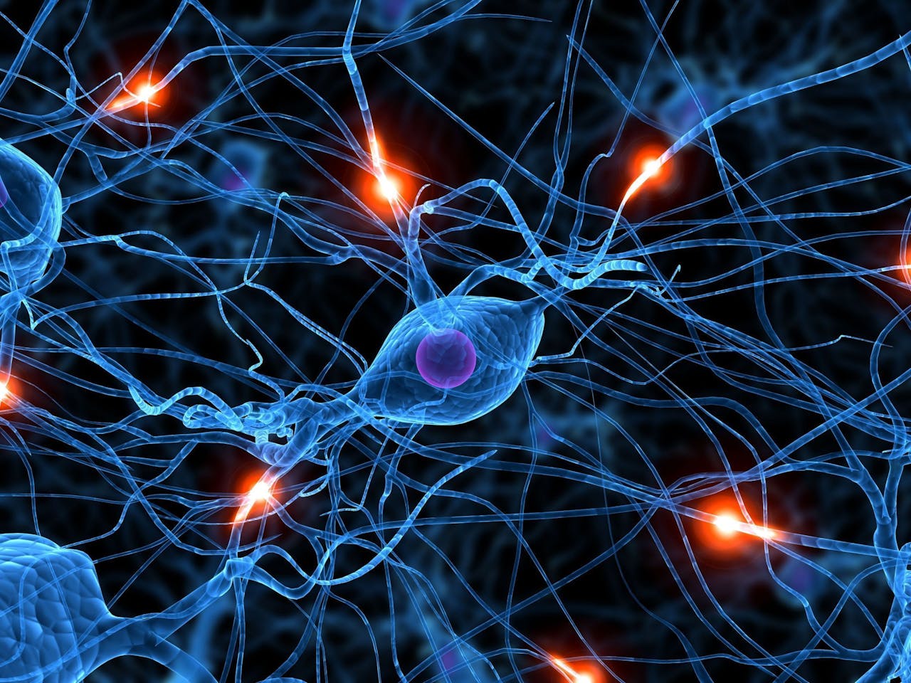 Neurona cerebro