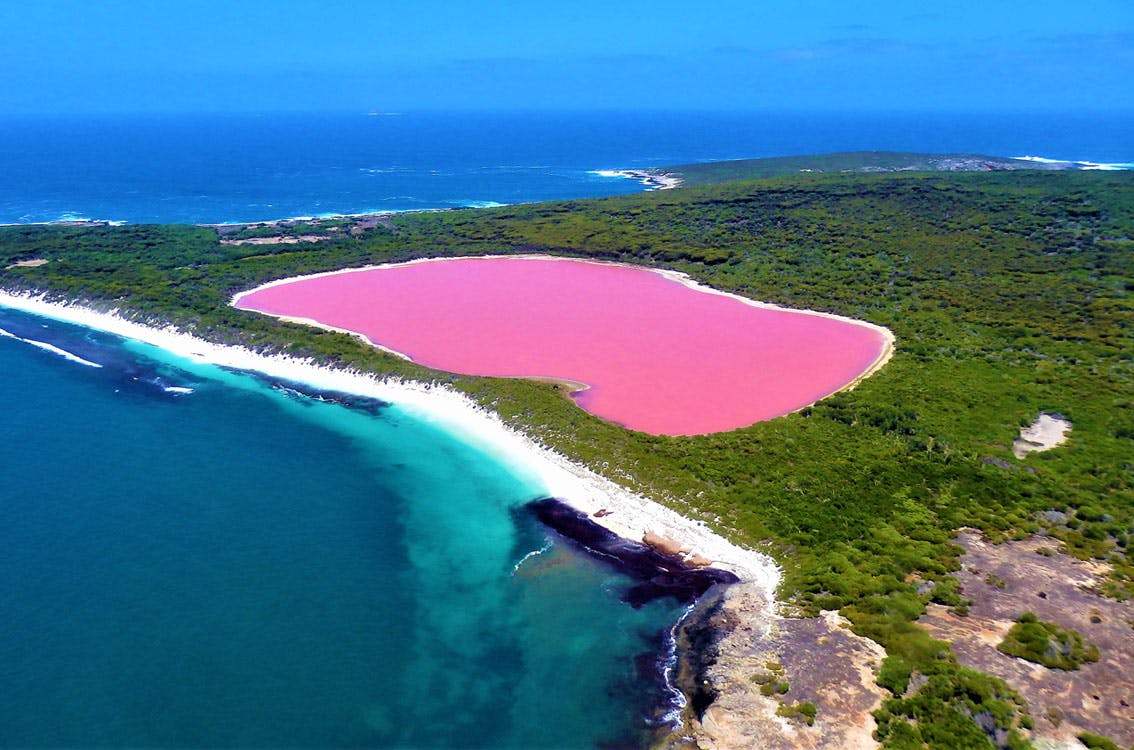 lago-rosado