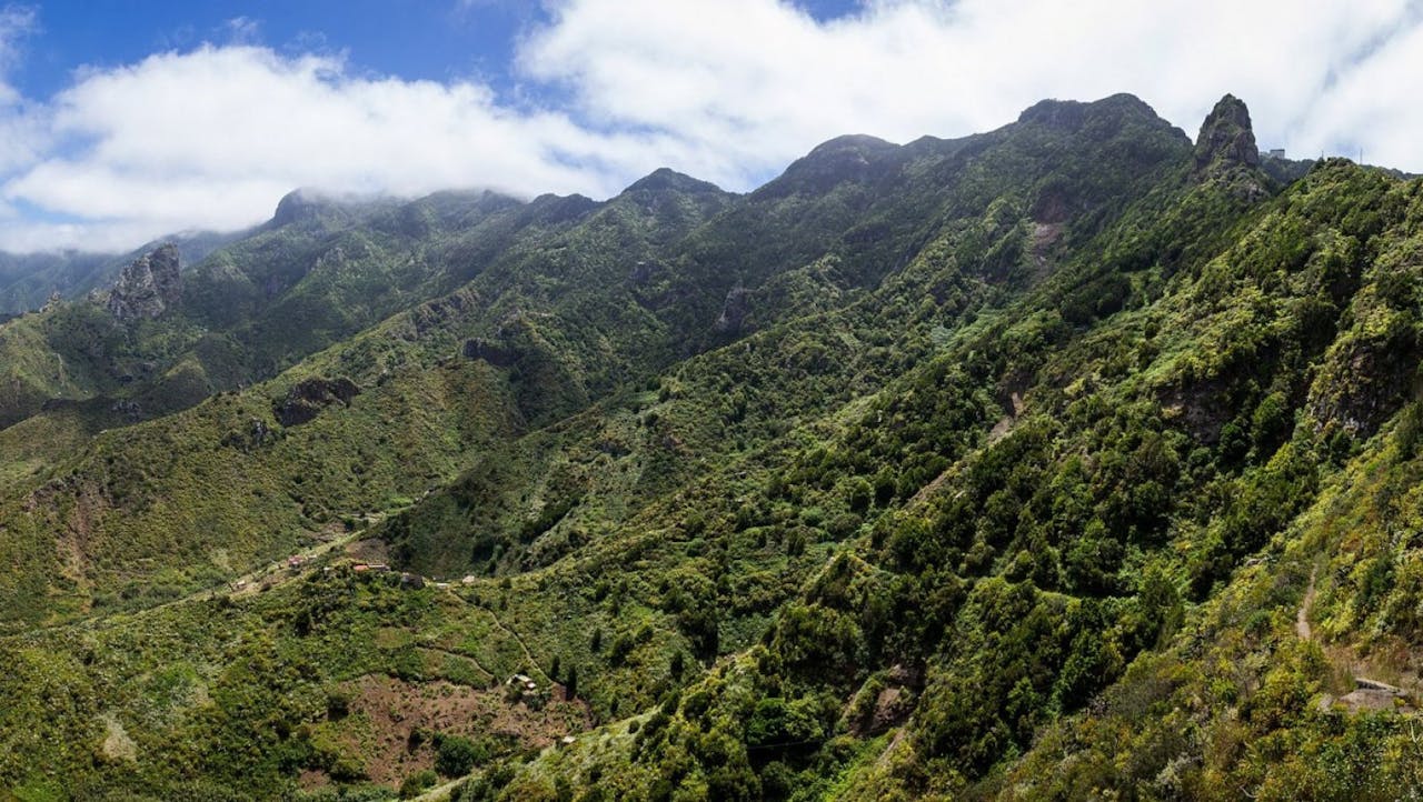 La verde y frondosa montaña de Anaga en Tenerife.