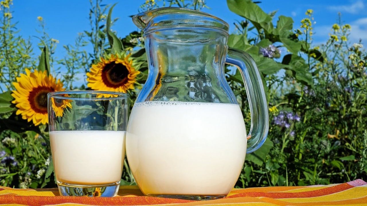 La leche contiene ácidos naturales que estimulan la producción de colágeno en nuestra piel .